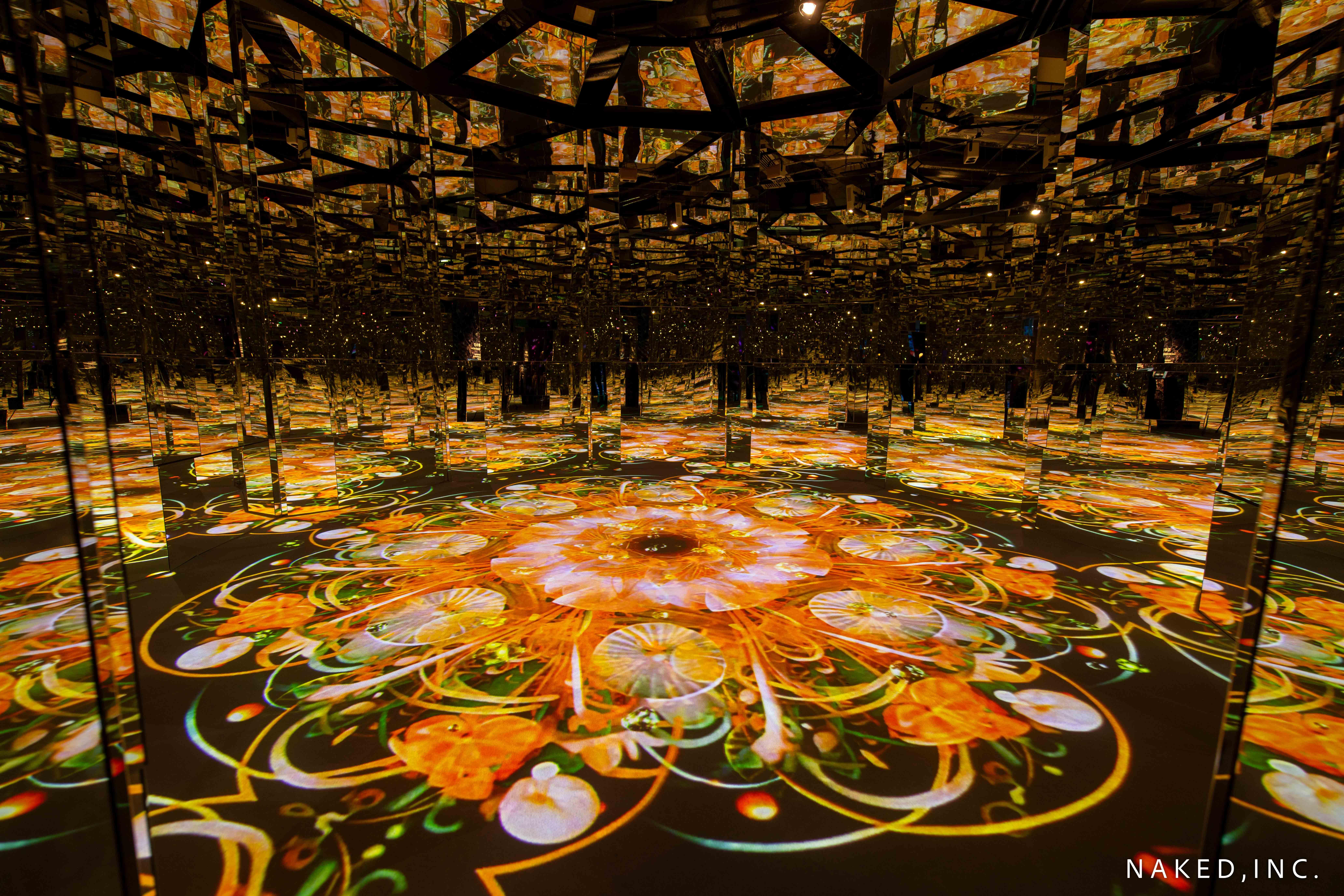 第五展區:花の微觀世界 MICROSCOPY OF FLOWERS