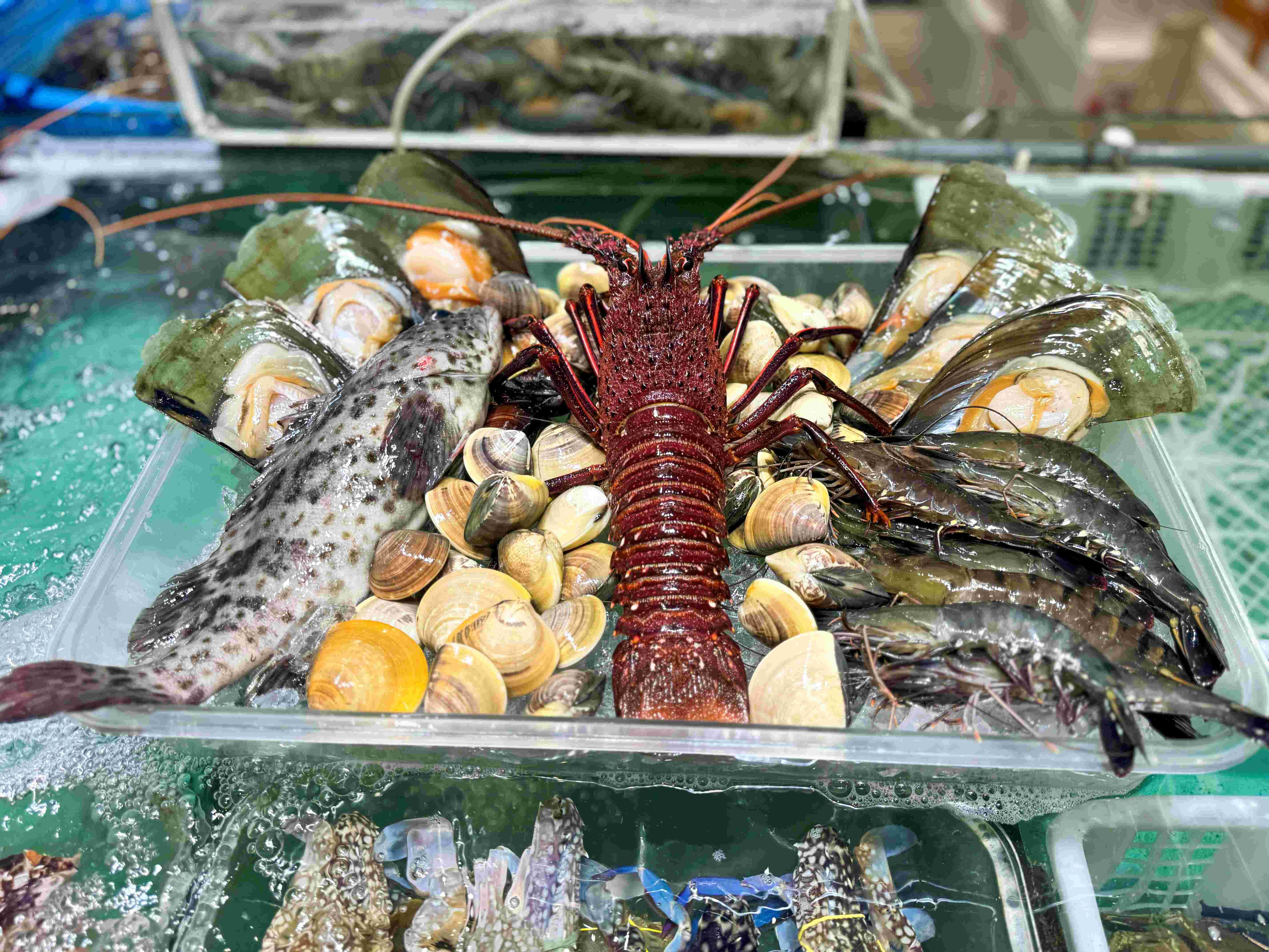 套餐A 西澳龍蝦1隻(約14両) 青斑1條(約1斤) 泰國草蝦2斤 帶子6隻 沙白(約1斤) 激荀價$512 (原價$586 )