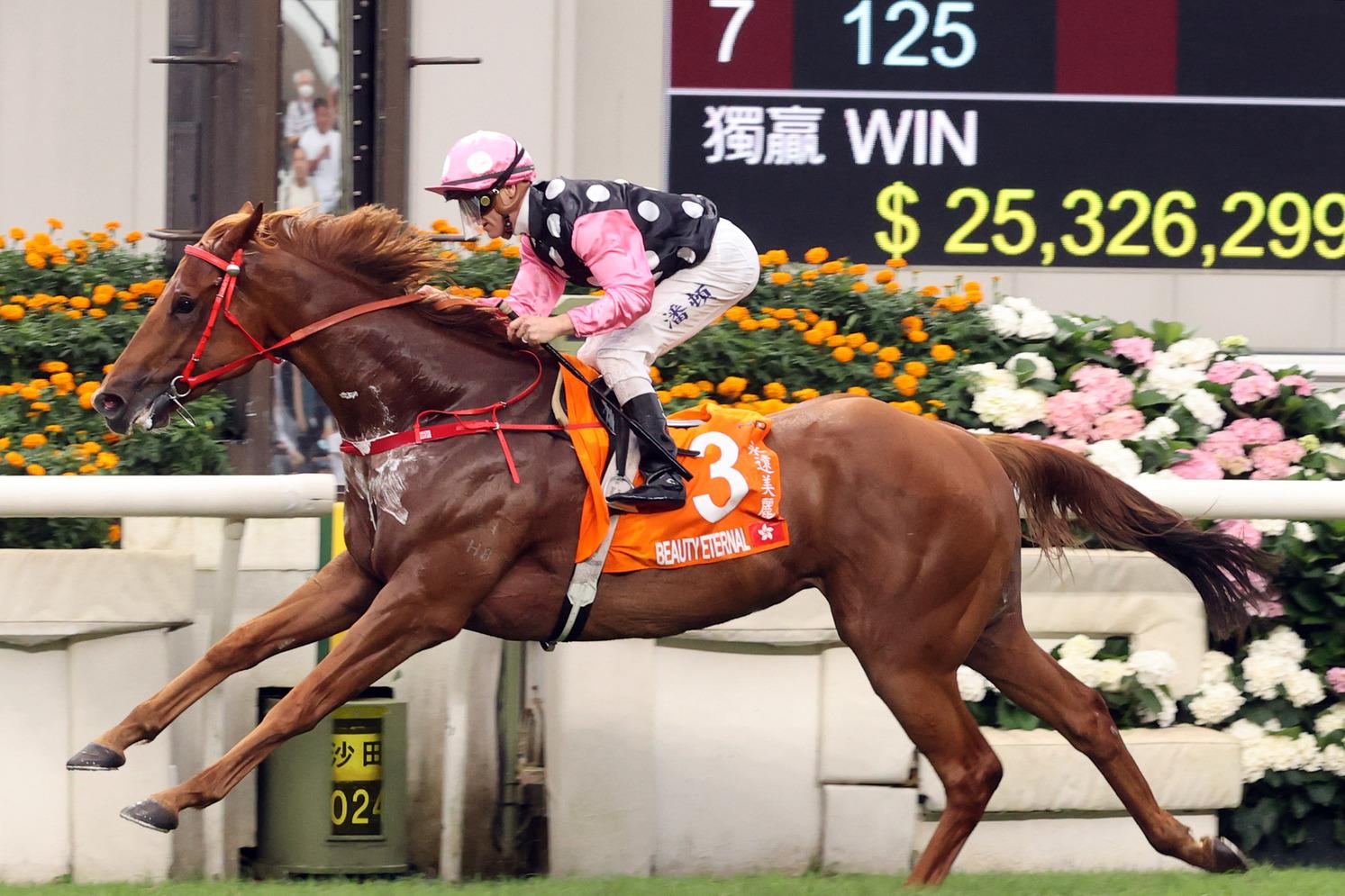 奪得富衛保險冠軍一哩賽的「永遠美麗」由十二屆冠軍練馬師蔡約翰訓練.,並且由六屆冠軍騎師潘頓主轡。。(香港賽馬會圖片)