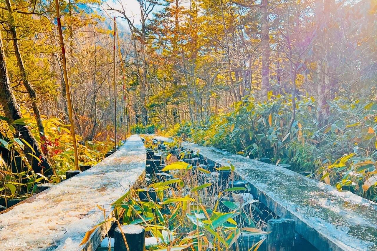 立山黑部2024|立山黑部阿爾卑斯山脈路線&上高地2日遊(名古屋出發)