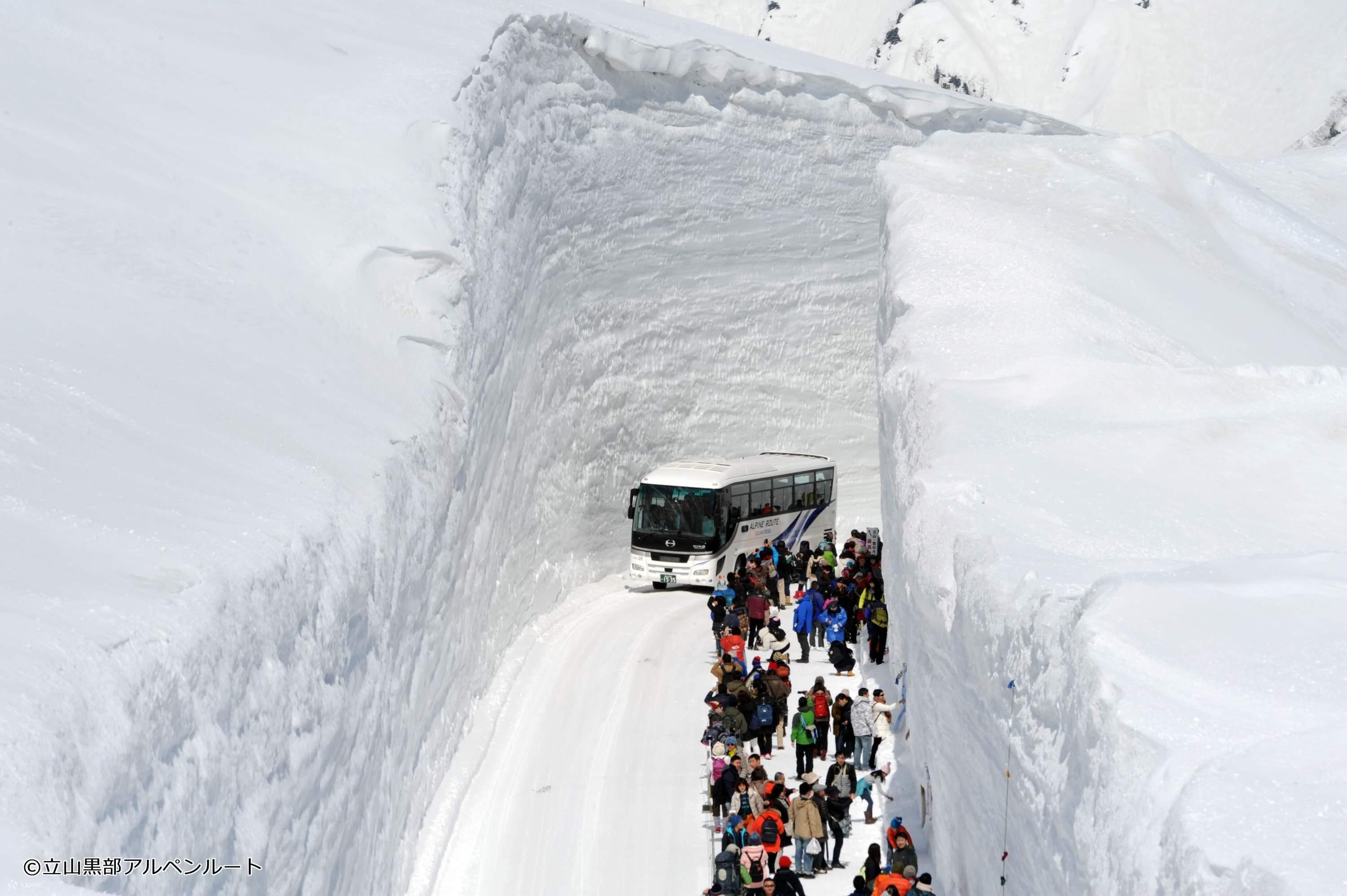 立山黑部2024|立山黑部雪牆巴士一日遊(名古屋出發)