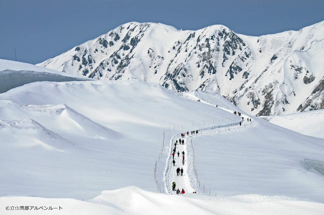 立山黑部2024|立山黑部雪牆巴士一日遊(名古屋出發)