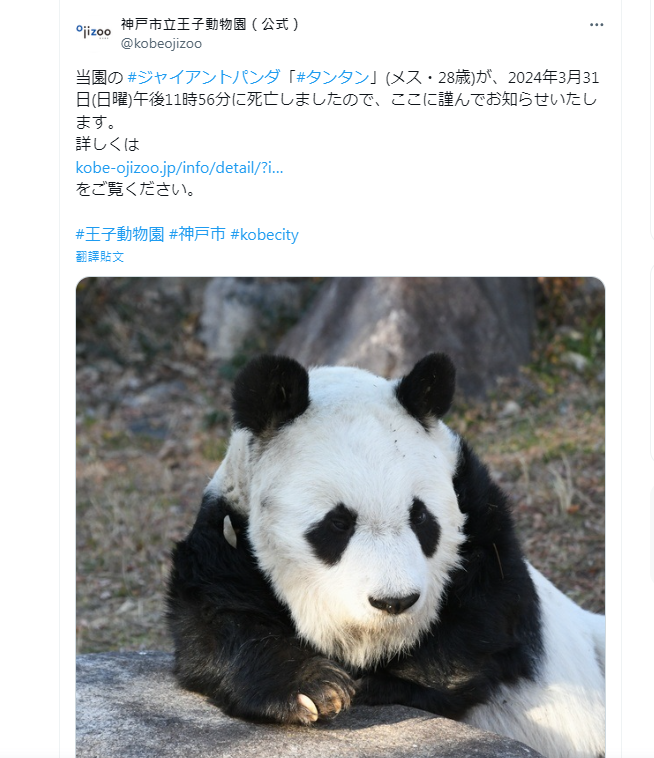 大熊貓「旦旦」