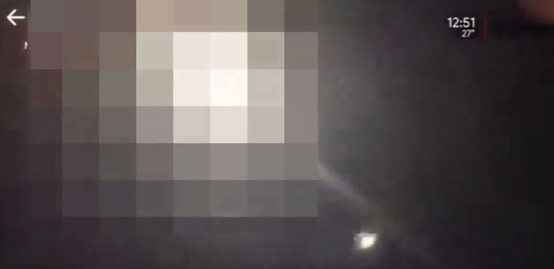 當男主播列出可以欣賞日全食的城市時,片段切換到一名男子於胯下角度以睪丸遮擋陽光的畫面。