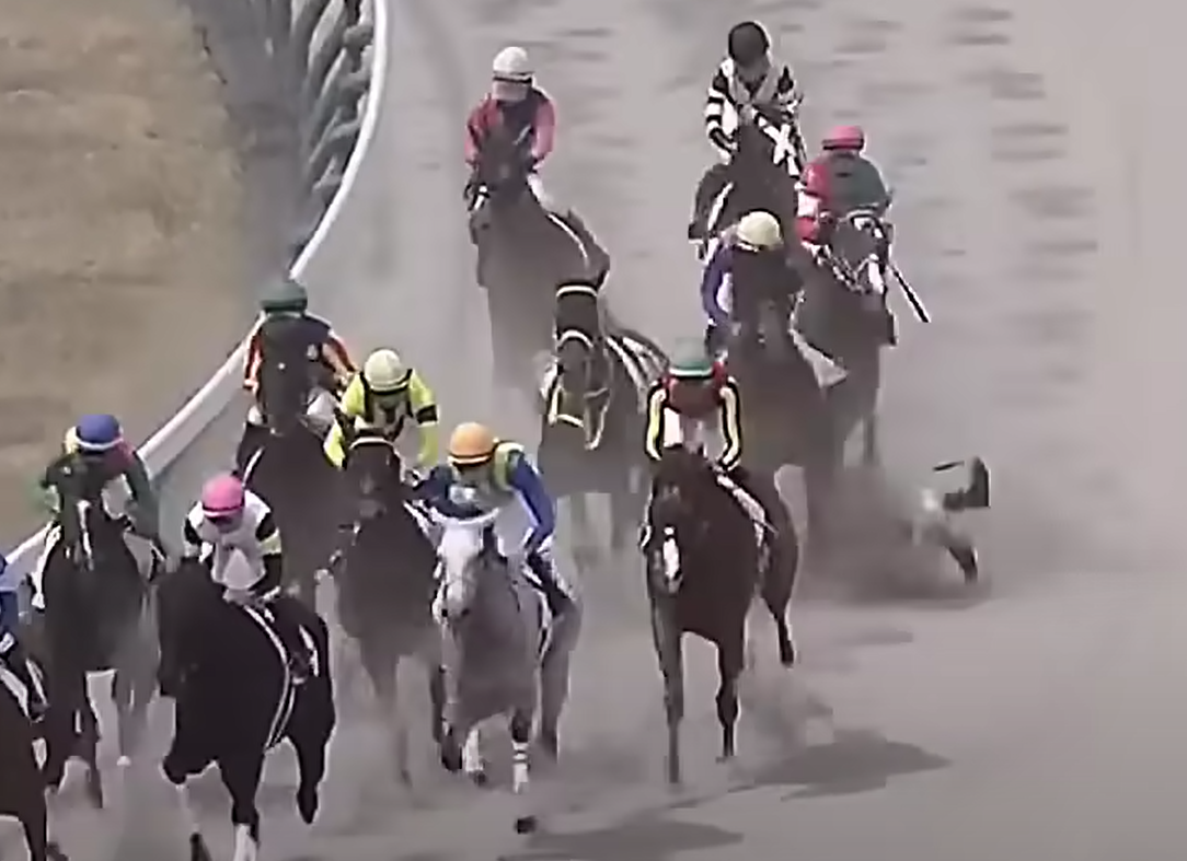 藤岡墜馬後曾被之後經過馬匹踢中。(影片截圖)