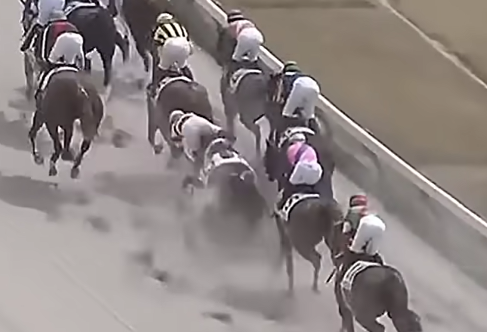 藤岡與前面馬匹碰撞後墜馬。(影片截圖)