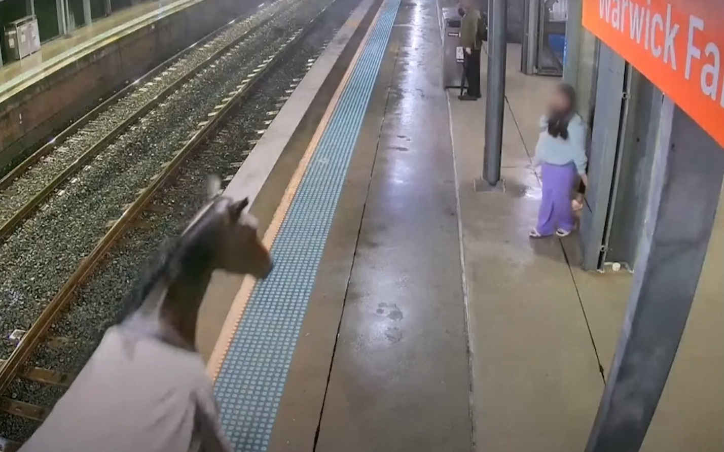 候車乘客被突然出現的馬匹嚇壞。(影片截圖)