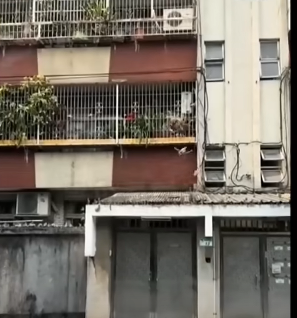 台北市一對夫妻在家中發生爭執,女方疑一氣之下,竟然把丈夫的樂高積木以及Playstation 4遊戲光碟由3樓直接往窗外扔到馬路上。(影片截圖)