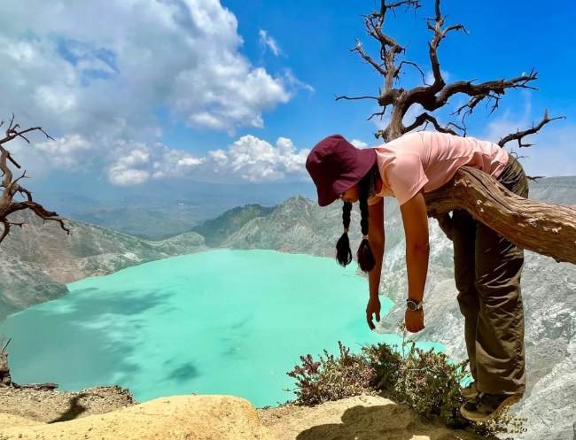 不少遊客會在伊真火山上的「網紅樹」打卡。(互聯網)