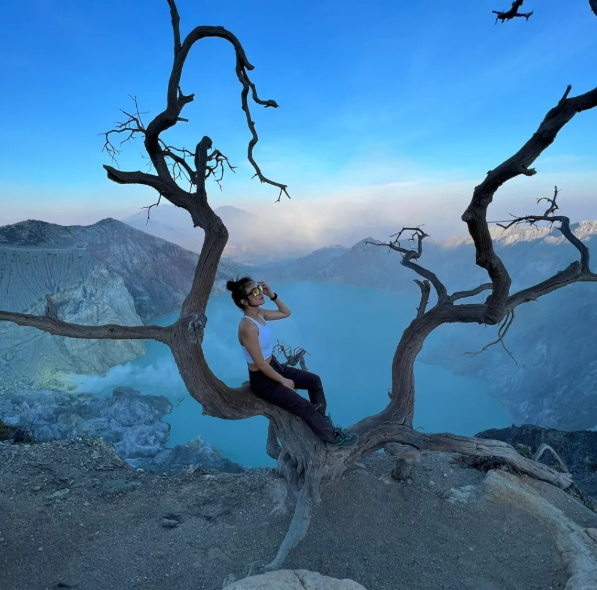 不少遊客會在伊真火山上的「網紅樹」打卡。(互聯網)