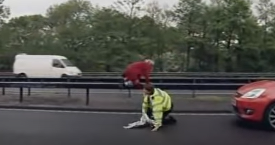 當日姊妹二人輪流衝出高速公路。(互聯網)