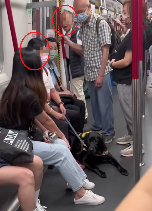 主人疑似委屈落淚但仍捉實狗繩,鄰座一名女乘客則安慰她「唔使喊,佢唔識啫」。此時,站在車門旁邊的一名戴眼鏡、身穿羽絨背心的老翁回頭指罵狗隻及失明女主人,言語中疑似質疑狗隻並非導盲犬:「你做乜嘢導盲犬?話比你聽」(影片截圖)