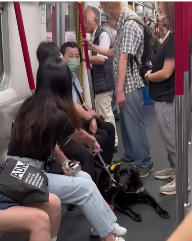 老伯此話一出隨即引起不滿,女乘客反駁老伯「佢係導盲犬嚟㗎!」,站在旁邊另一名穿格仔短袖的老翁亦指著狗狗仗義相助幫口道:「寫到明係導盲犬」