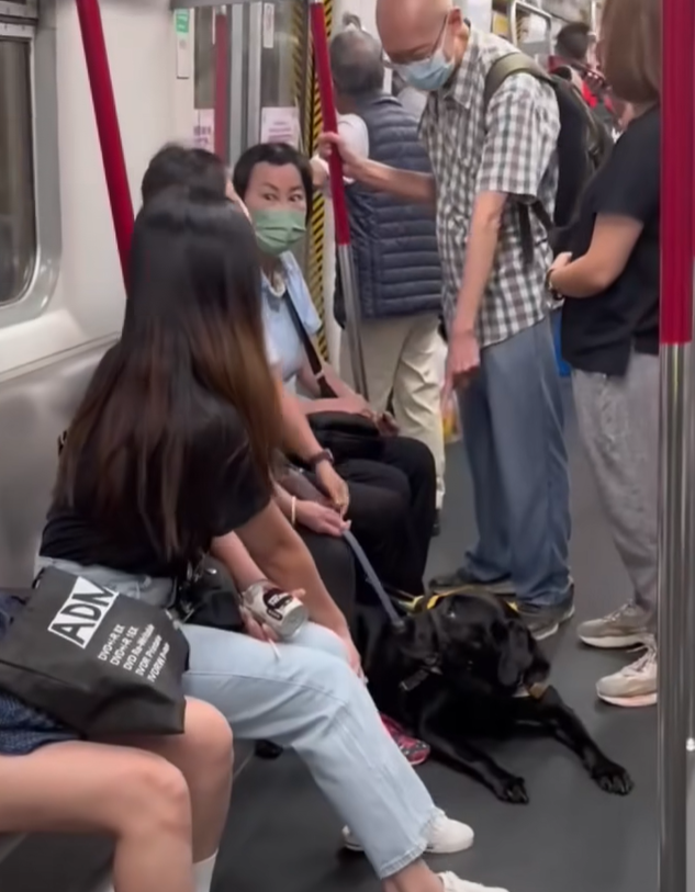 老伯此話一出隨即引起不滿,女乘客反駁老伯「佢係導盲犬嚟㗎!」,站在旁邊另一名穿格仔短袖的老翁亦指著狗狗仗義相助幫口道:「寫到明係導盲犬」