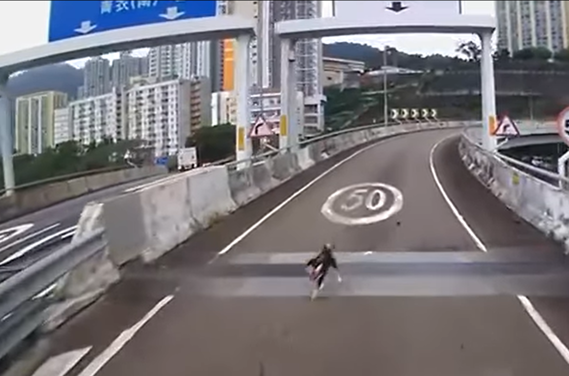 社交平台流傳多段影片,一隻有牽繩的黑色柴犬於青衣南橋大奔走,路面司機紛紛減速停車讓路。(青衣街坊吹水會fb)