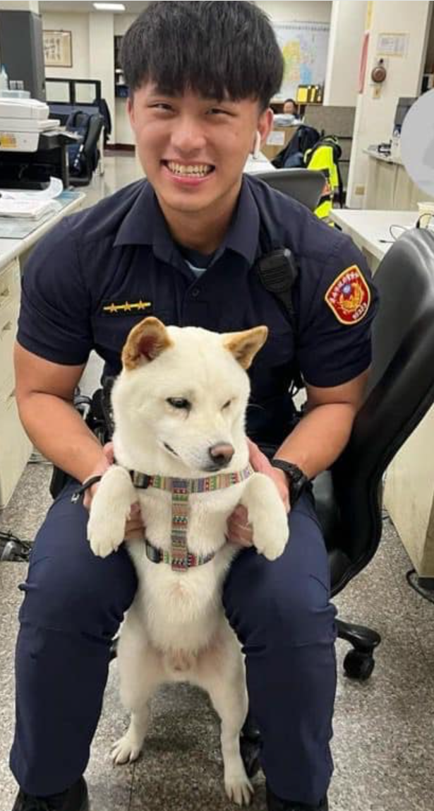 台南市一隻白色柴犬走失,被熱心民眾送到派出所並發圖於社交平台尋主人,不料網民重點全放在與柴犬合照的「帥氣男警」身上,亦令他成紅人被人肉搜尋。(網上圖片)