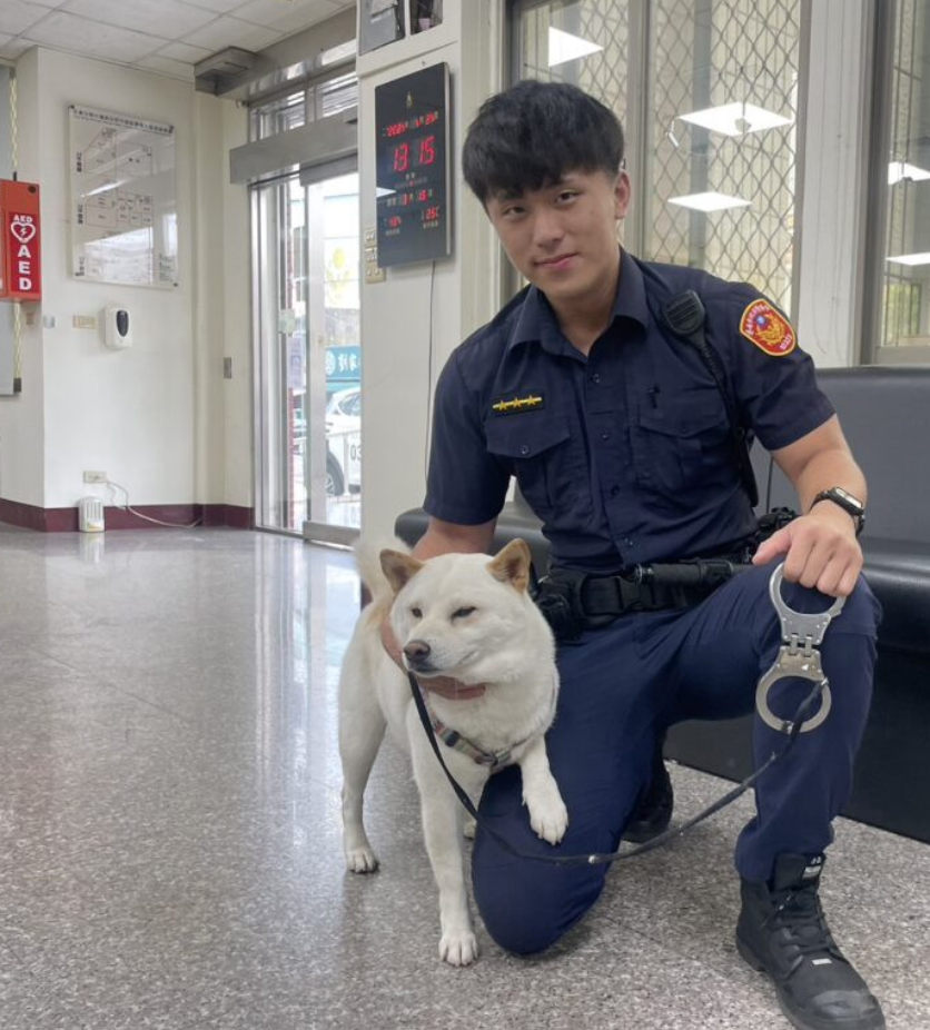 台南市一隻白色柴犬走失,被熱心民眾送到派出所並發圖於社交平台尋主人,不料網民重點全放在與柴犬合照的「帥氣男警」身上,亦令他成紅人被人肉搜尋。圖片取自《記者爆料網》