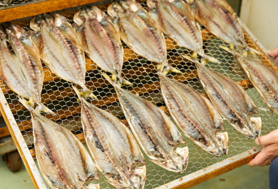 8 くさや臭魚乾(未烤前)