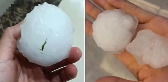 部分地區又落下大如拳頭的冰雹。(互聯網)