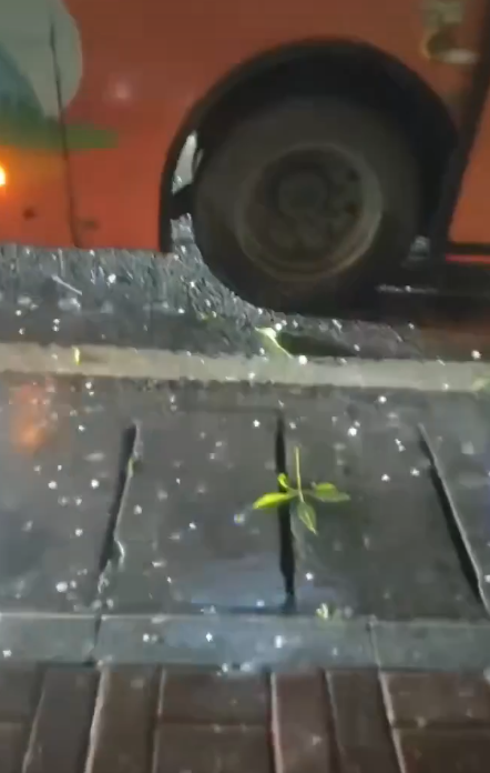 澳門落冰雹(網上圖片)