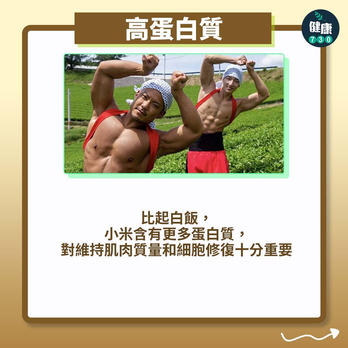 小米比白飯更有益|高蛋白質:比起白飯,小米含有更多蛋白質,對維持肌肉質量和細胞修復十分重要(am730製圖)