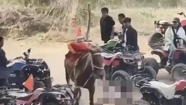 男童一隻腳掛在馬鞍上的繩索,其頭部撞擊著地面、沙灘車車輪、樹樁。(微博)