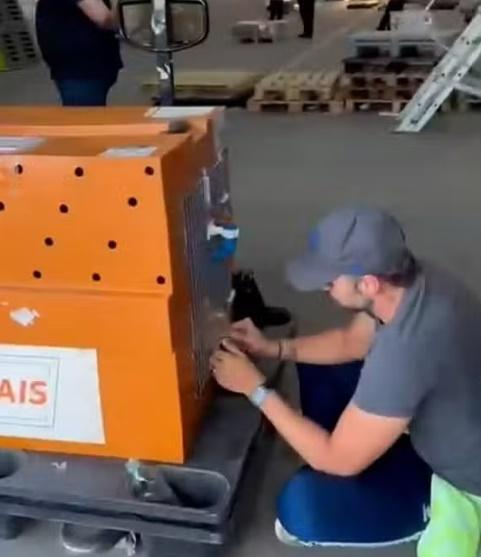 João Fantazzini在等候區打開籠子時,Joca躺在籠裡沒有反應。(YouTube)