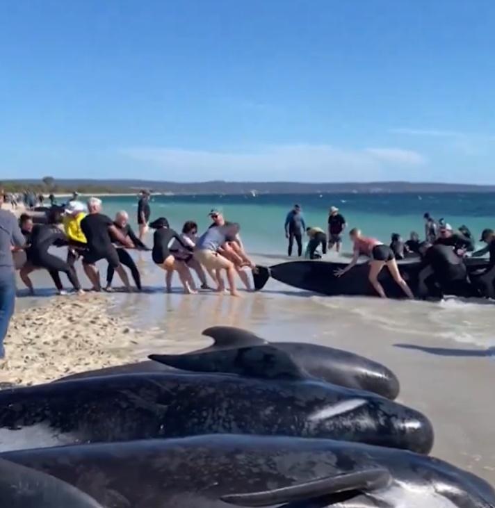 專家與熱心的民眾合作。(X)