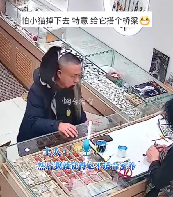 貓咪會熱情地自行親近客人,甚至會爬上客人的肩膊,像頸巾般趴在客人的後頸。(微博)