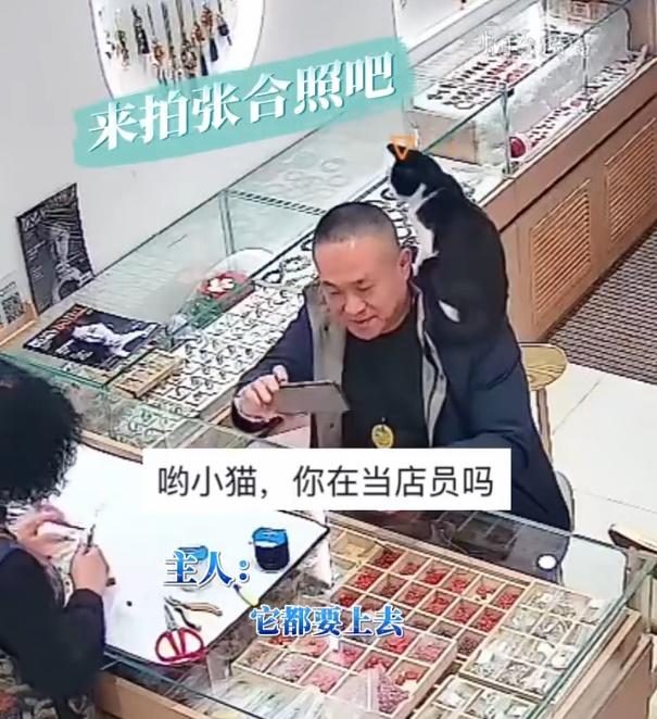 有時客人無法抱牠下來,就會索性跟牠來個自拍。(微博)