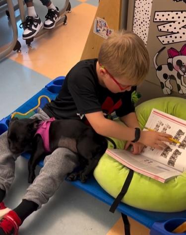 Brooke Hughes表示,可愛的狗狗讓那些原本有閱讀障礙的學生開始抓緊機會坐下來,捧著書慢慢地唸給旁邊的小狗聽。(IG)