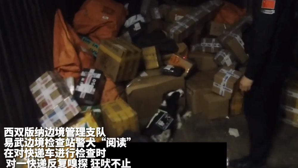 緝毒犬對其中一個包裹來回嗅聞,還吠叫表示有所發現。(微博)