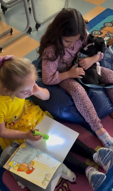 Brooke Hughes表示,可愛的狗狗讓那些原本有閱讀障礙的學生開始抓緊機會坐下來,捧著書慢慢地唸給旁邊的小狗聽。(IG)