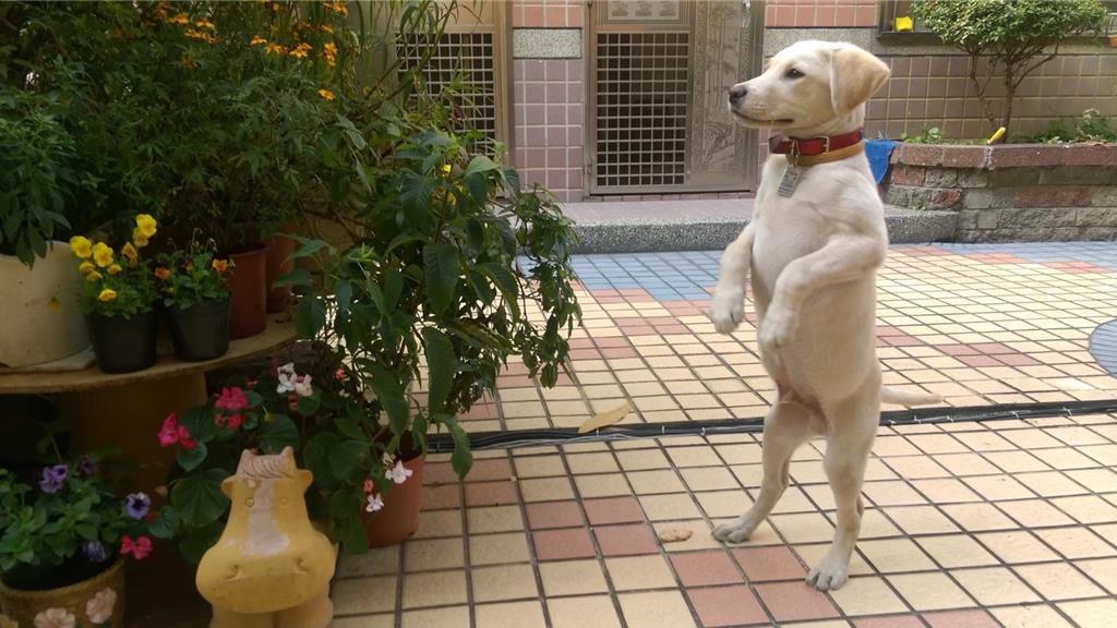 Roger小時候。(高雄消防局)