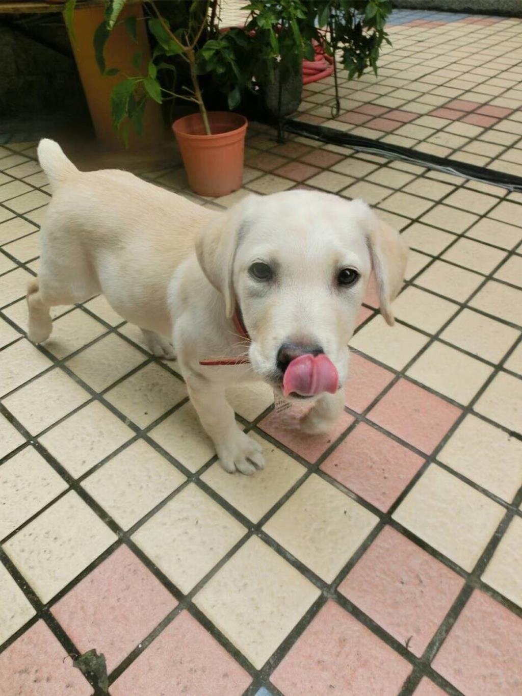 Roger小時候。(高雄消防局)