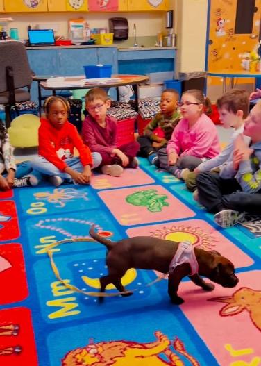 Brooke Hughes表示,可愛的狗狗讓那些原本有閱讀障礙的學生開始抓緊機會坐下來,捧著書慢慢地唸給旁邊的小狗聽。(IG)