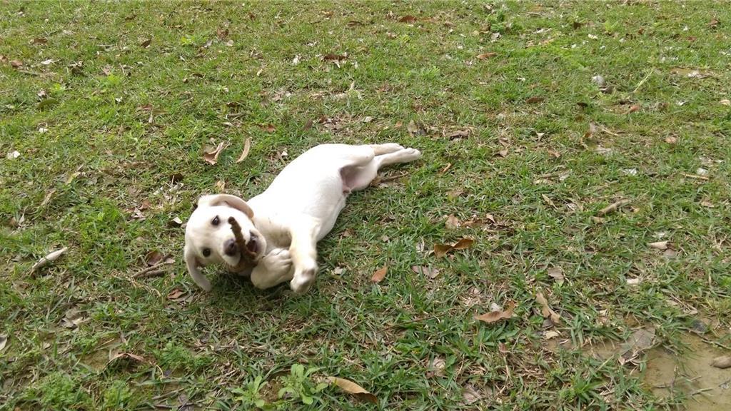 Roger小時候。(高雄消防局)