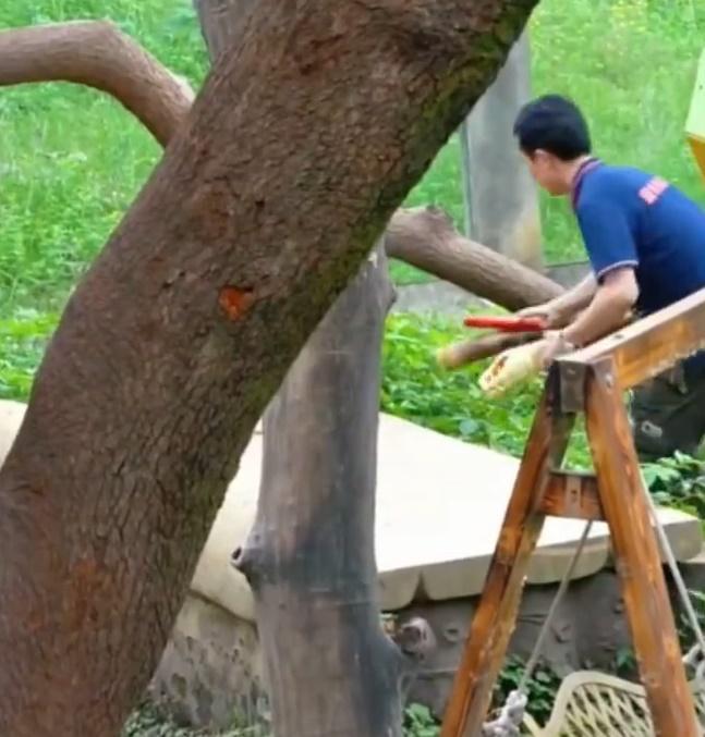 另一名保育員亦帶著笋和紅蘿蔔上前協助,最後互相協助擺脫兩熊,隨後離開。(微博)