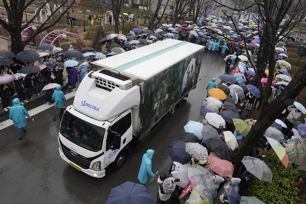 福寶於3日在6,000名民眾雨中送別下,離開愛寶樂園返回中國。(資料圖片)
