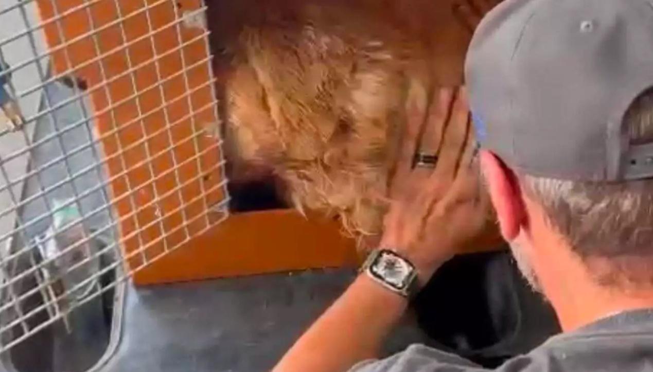 João Fantazzini不住輕撫愛犬,十分不捨。(YouTube)