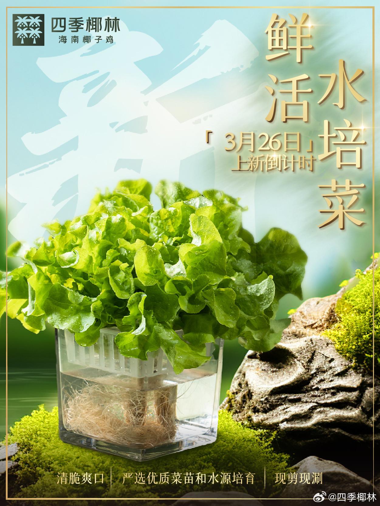 四季椰林雞煲店進軍旺角聲稱「不加1滴水」,內地餐飲攻港熱潮持續。(四季椰林微博)