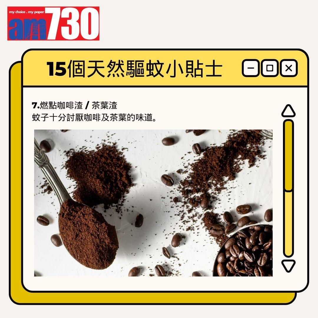 15個天然驅蚊小貼士丨燃點咖啡渣 / 茶葉渣