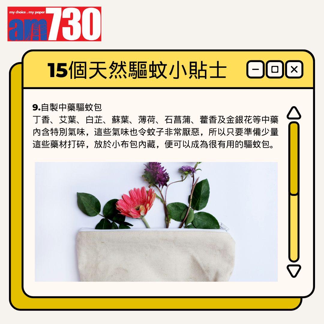 15個天然驅蚊小貼士丨自製中藥驅蚊包