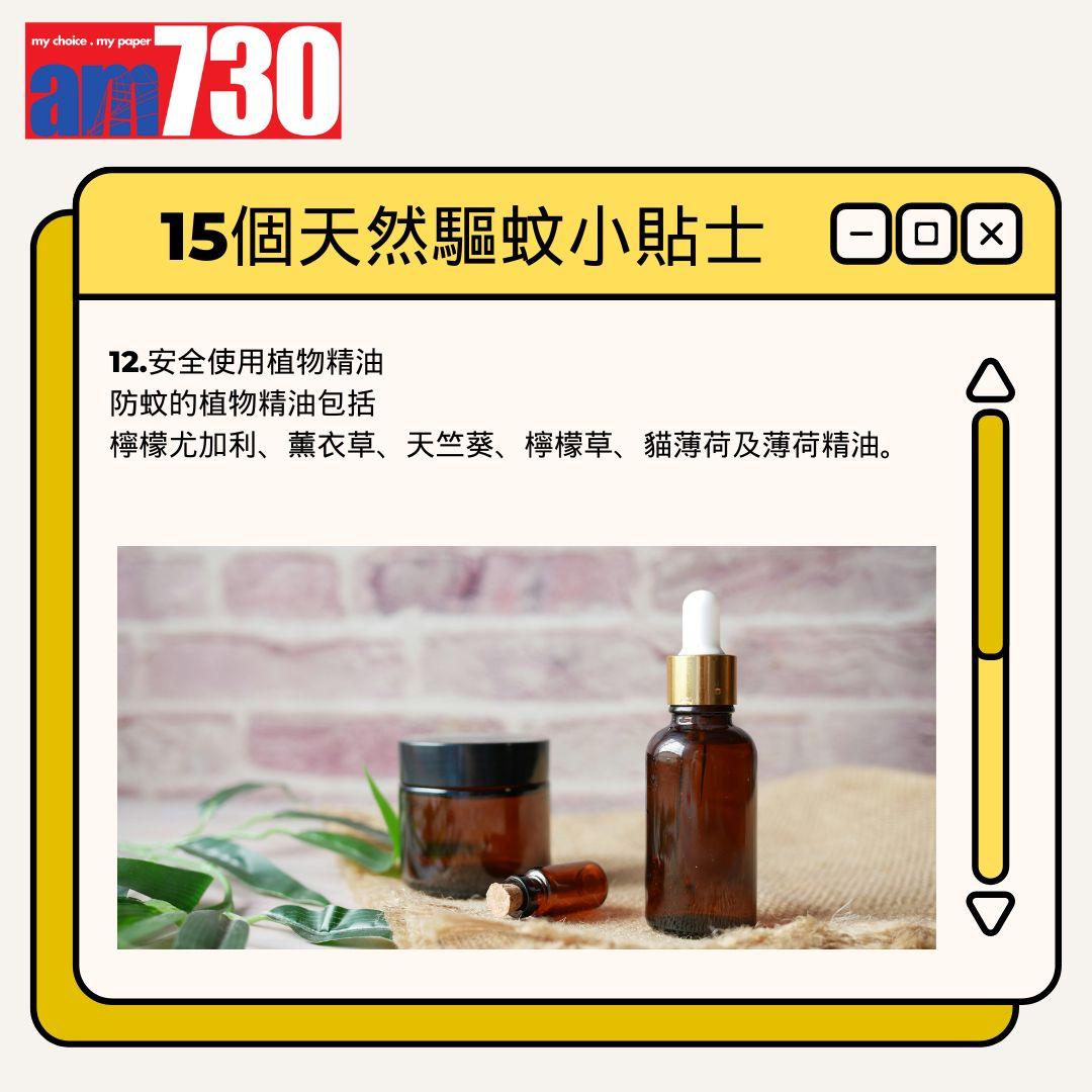 15個天然驅蚊小貼士丨安全使用植物精油