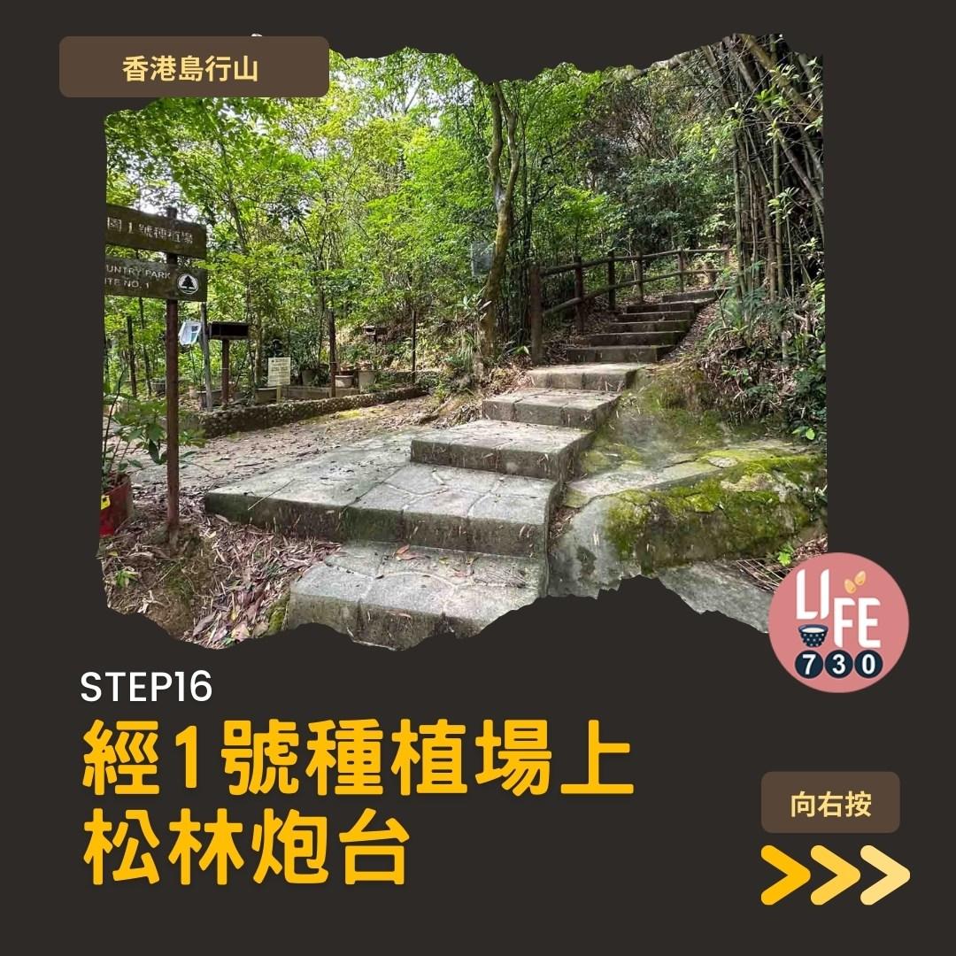 香港島行山︱港大站半小時即達龍虎山瀑布(am730製圖)