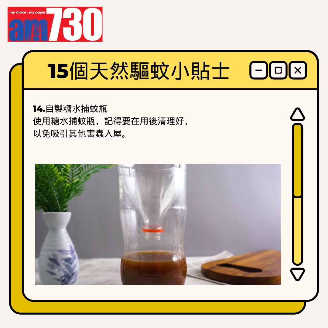 15個天然驅蚊小貼士丨自製糖水捕蚊瓶