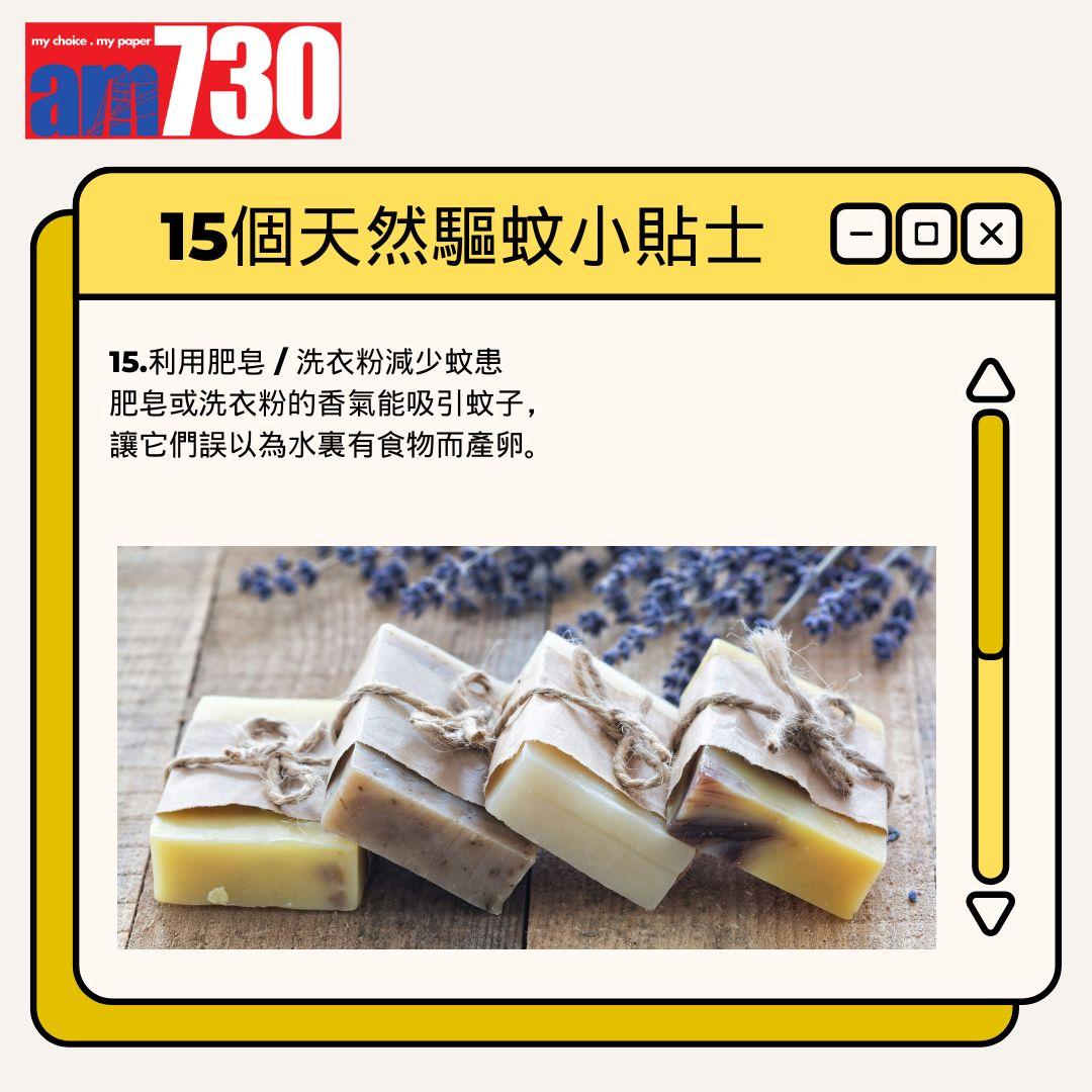 15個天然驅蚊小貼士丨利用肥皂 / 洗衣粉減少蚊患