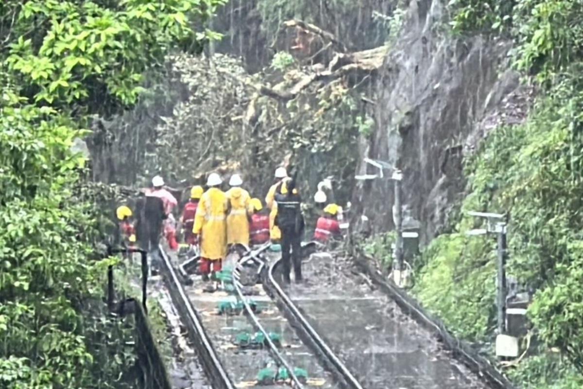 白加道日前有塌樹橫亘山頂纜車路軌,山頂纜車需要暫停服務。(資料圖片)