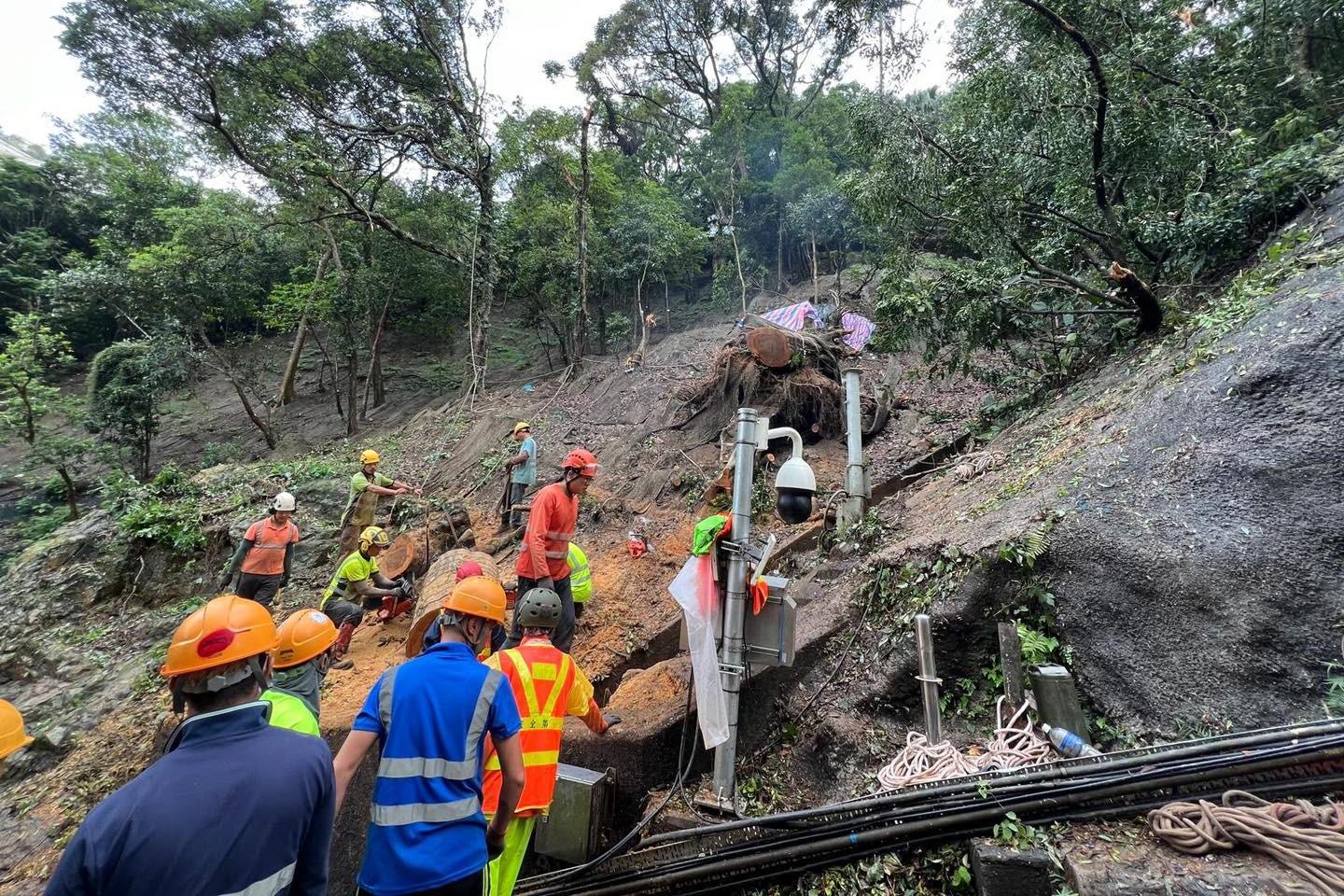 地政總署、土木工程拓展署及路政署已加派人手,移除斜坡上塌下的樹樁和樹幹。(發展局FB)