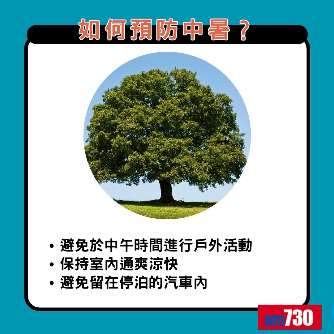 中暑熱衰竭分別|如何預防中暑?(am730製圖)